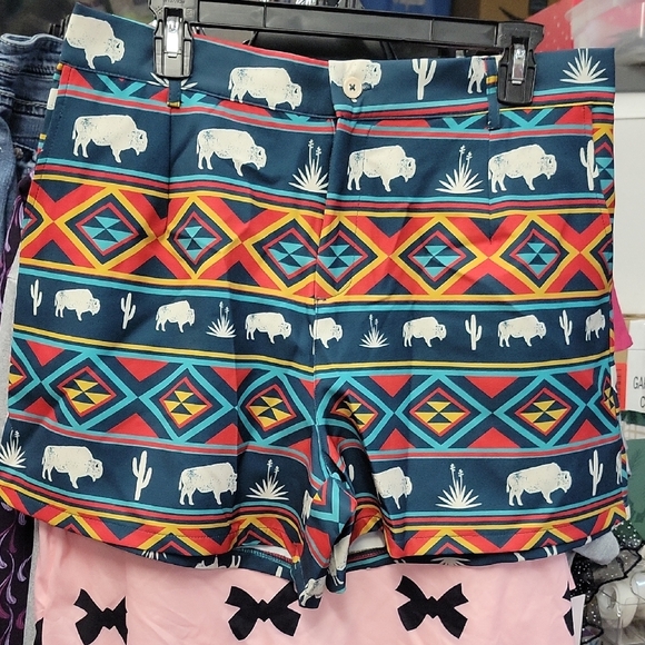 Western Serape Buffalo Aztec Horizonal Striped 2xl Shorts - Picture 1 of 6